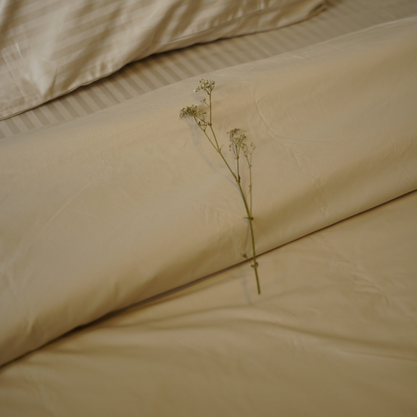 415 Thread Count Percale Bed Sheet Set | Latte